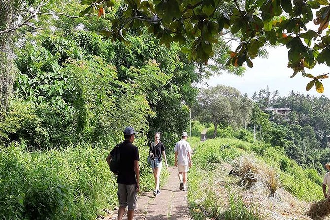 Private Tour: Campuhan Ridge Walk, Ubud Rice Terrace & Ubud Palace - Is $25 good value for eight hours?