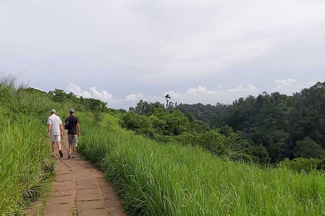 Private Tour: Campuhan Ridge Walk, Ubud Rice Terrace & Ubud Palace - Ceking Rice Terrace and the working countryside