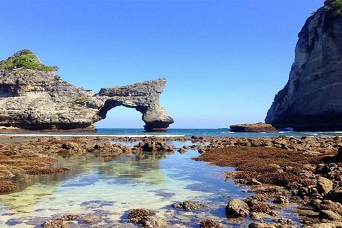 Private tour : East of Nusa Penida Day Tour All-inclusive - What the $85 price really covers
