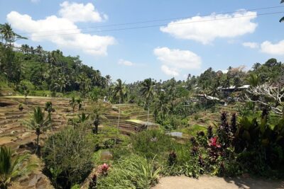 Private tour in Ubud country side