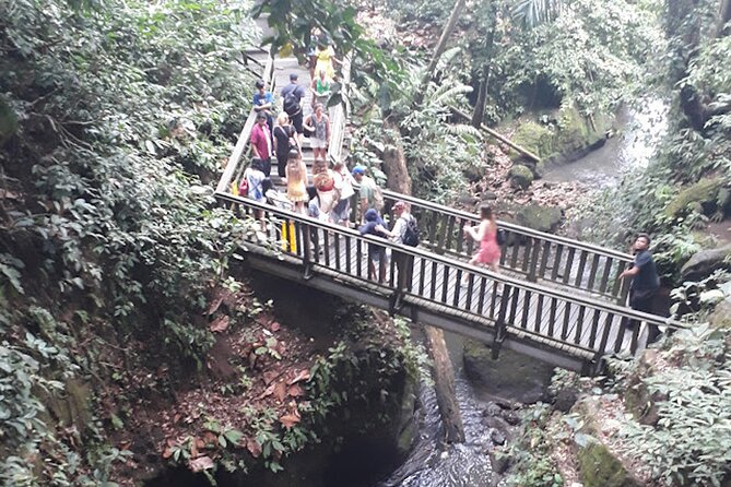 Private tour in Ubud country side - What the $58 price really covers