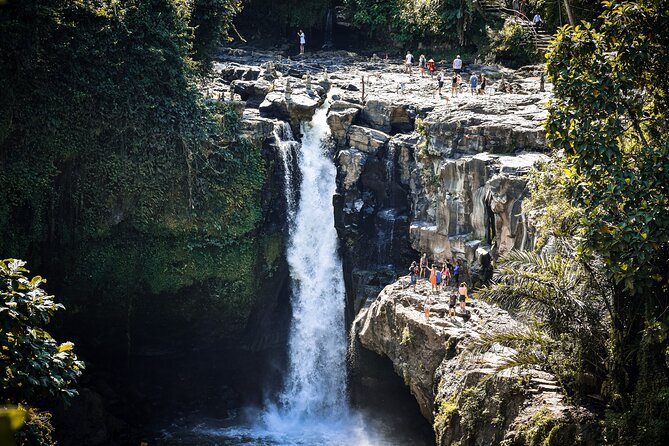 Private Tour : Individual costumize route with FREE - WIFI - Why a private car makes sense in Bali