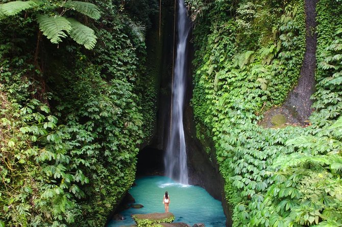 Private Tour: Leke-Leke Waterfall, Handara gate & Iconic Temples - Key points to know before booking