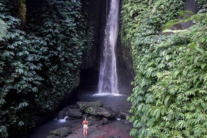 Private Tour: Leke-Leke Waterfall, Handara gate & Iconic Temples - What the private driver changes