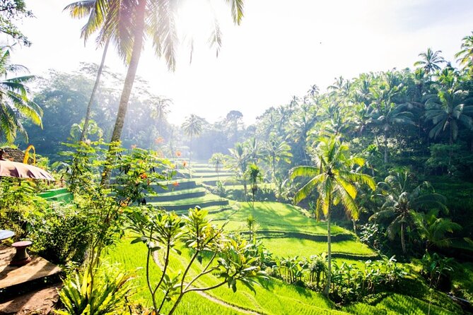 Private Ubud Day Tour Waterfalls Sacred Monkeys and Rice Fields - Choosing your view at Tegenungan Waterfall