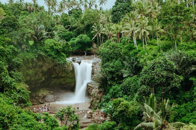 Private Ubud Day Tour Waterfalls Sacred Monkeys and Rice Fields - Walking through the Sacred Monkey Forest