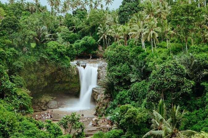 Private Ubud Day Tour Waterfalls Sacred Monkeys and Rice Fields - Taking in Tegalalang Rice Terrace