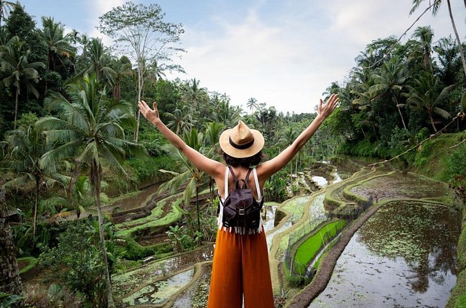 Private Ubud Day Tour Waterfalls Sacred Monkeys and Rice Fields - What the private driver-guide adds