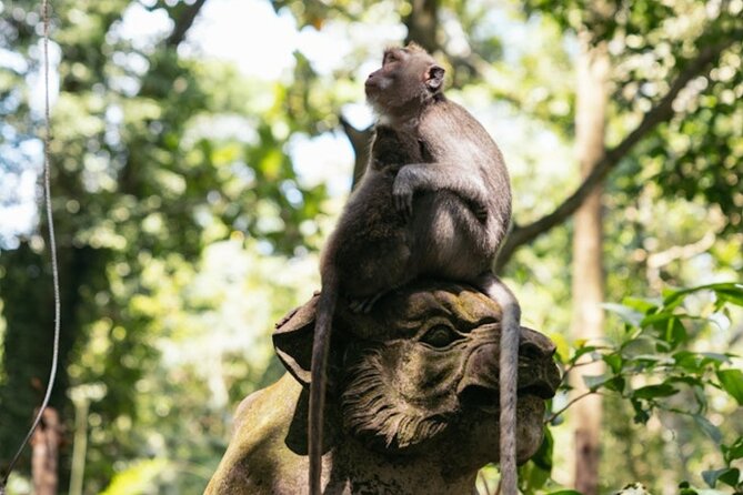 Private Ubud Day Tour Waterfalls Sacred Monkeys and Rice Fields - Meeting carvers at Mas