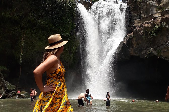 Private Ubud Tour Package - Tegalalang Rice Terrace and the swing