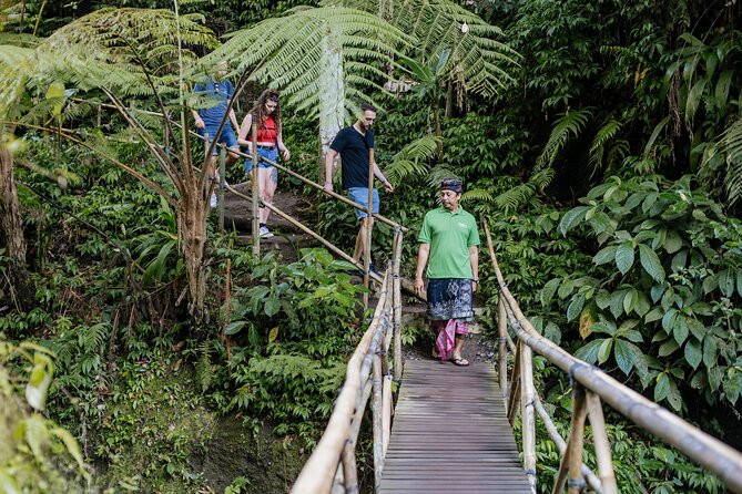 Quick Access: The Bali Instagram Small Group Tour - Tegalalang Rice Terraces and the final photo stops
