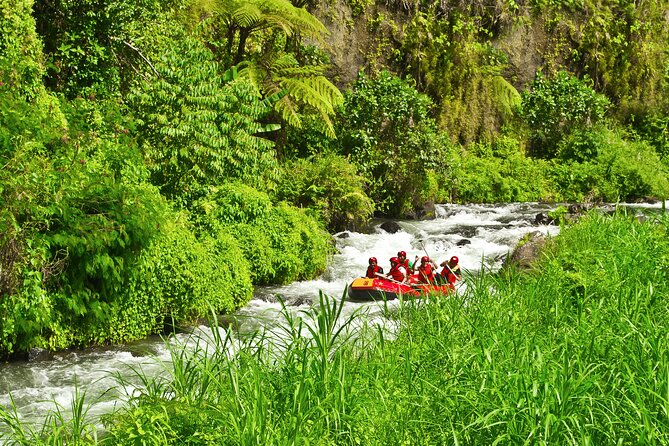Rafting Adventure 18 km and Balinese Village Life Tour with Lunch - Lunch in a Balinese family home