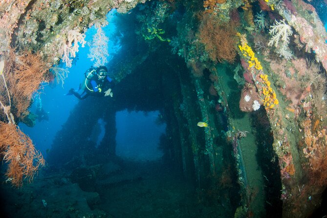 Sanur Open Water Course learn diving in 3 Days - Get certified & Dive everywhere - Instructors, language, and the learning pace