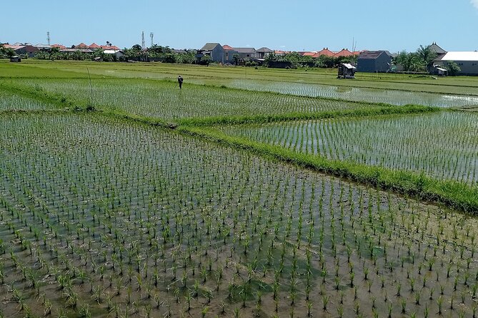 Sanur Village E-bike Tour: Family-Friendly Adventure - What the e-bike changes
