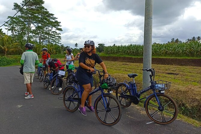 Sanur Village E-bike Tour: Family-Friendly Adventure - Starting among Sanur’s quieter roads