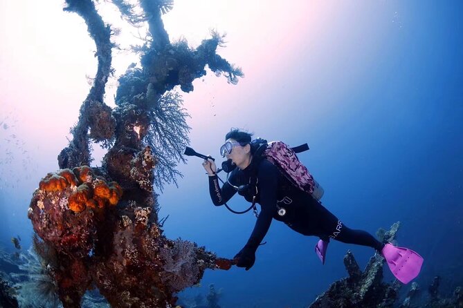 Shipwreck Diving in Tulamben - Is $150 a fair price?