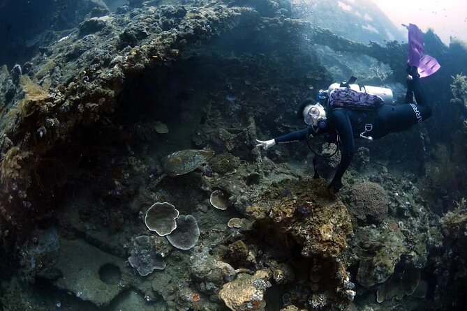 Shipwreck Diving in Tulamben - Who should choose this Tulamben trip?