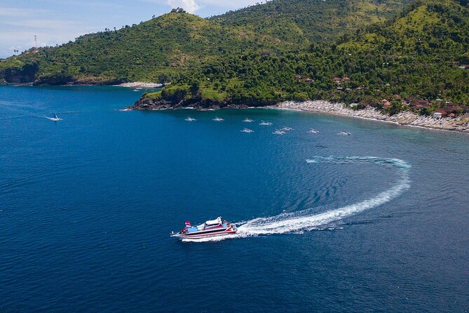 Snorkeling Adventure with East Nusa Penida Tour All Inclusive - Who will enjoy this Nusa Penida day