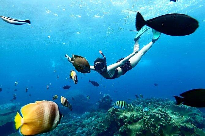 Snorkeling In Nusa Penida And Uluwatu Sunset Tours - Three snorkeling stops around Nusa Penida