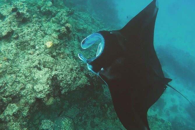 Snorkeling In Nusa Penida And Uluwatu Sunset Tours - Uluwatu Temple near sunset