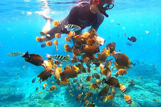 Snorkeling In Nusa Penida And Uluwatu Sunset Tours - Jimbaran Bay seafood at the end of a long day