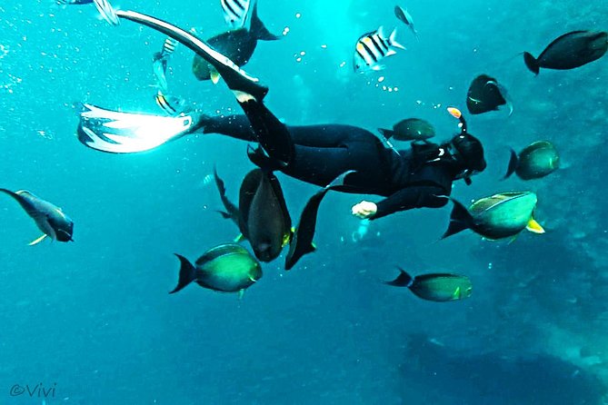 Snorkeling Package at Tulamben Liberty Shipwreck - The early start from Kuta and south Bali