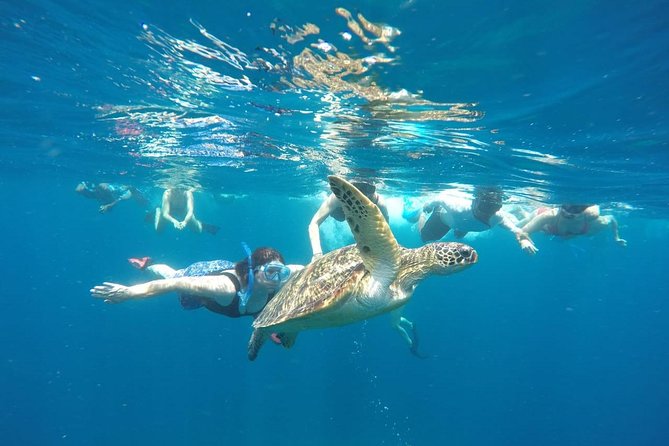 Snorkeling Tour In Gili Trawangan, Gili Meno And Gili Air Pick Up From Bali - Key points before you book
