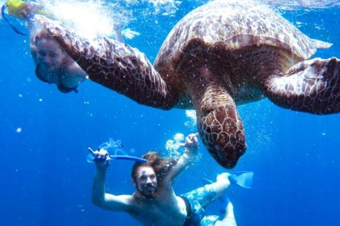 Snorkeling Tour In Gili Trawangan, Gili Meno And Gili Air Pick Up From Bali - Three Gili Islands in one day