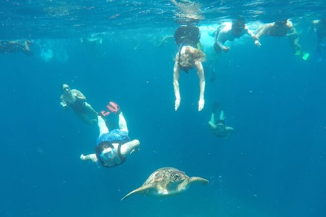 Snorkeling Tour In Gili Trawangan, Gili Meno And Gili Air Pick Up From Bali - Gili Meno, statues, and another turtle area