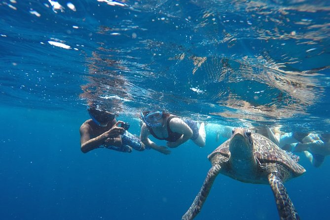 Snorkeling Tour In Gili Trawangan, Gili Meno And Gili Air Pick Up From Bali - What the guides add to the day