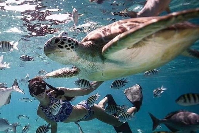 Snorkeling Tour In Gili Trawangan, Gili Meno And Gili Air Pick Up From Bali - The early car ride to Padang Bai