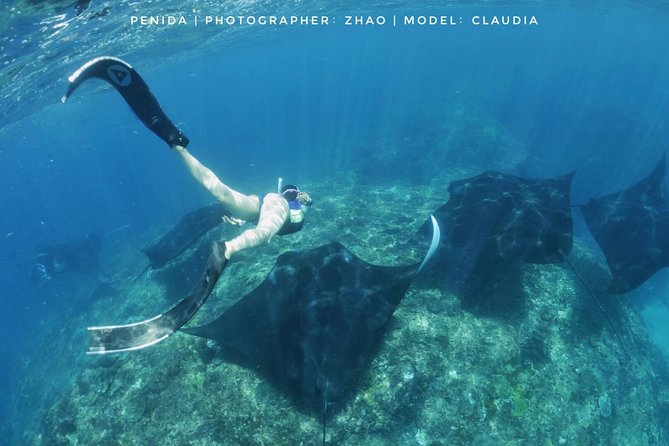 Snorkelling in Nusa Penida - Manta Point - Northern Nusa Penida and the drift sites