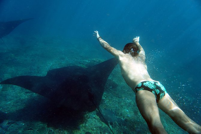 Snorkelling with Manta Rays at Nusa Penida and Lembongan - Lunch on the speedboat