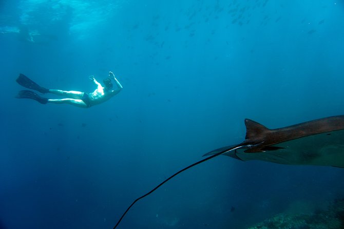 Snorkelling with Manta Rays at Nusa Penida and Lembongan - What the seven-hour schedule really means