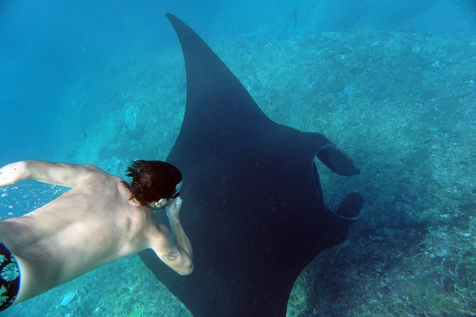 Snorkelling with Manta Rays at Nusa Penida and Lembongan - Who will get the most from this trip