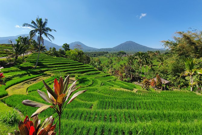 Solo or Group Tour - 10 Hours, 5 Persons Max - What the airport collection means for your day