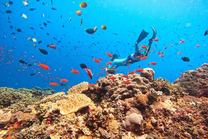 Swim with Manta Rays: Snorkeling Day Trip from Bali - The mangrove trip slows the pace