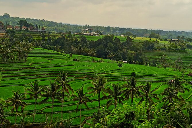 Tanah Lot Tour: Discover Bali’s Iconic Temple and Stunning Views - Lake Beratan shifts the mood inland