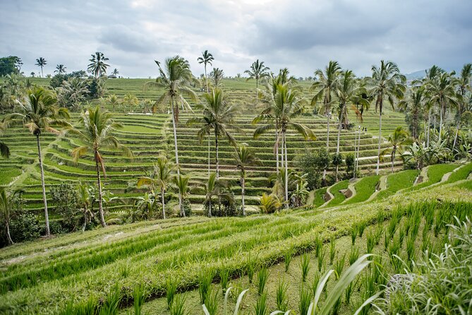 Tanah Lot & UNESCO Heritage Small Group Tour - What the $20 price really gives you