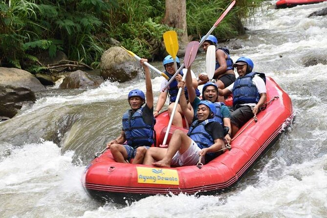 The Best Ayung River Rafting Adventure in Ubud - What the $50 price really covers