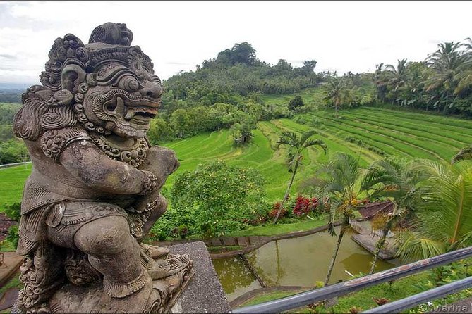 Tour: Besakih Temple-Kintamani Volcano-Water temple&Rice Terrace - Is $132 good value?