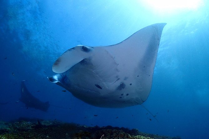Try Diving in Manta Point - Nusa Penida - The boat ride to Nusa Penida