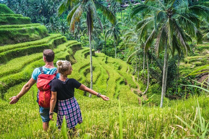 Ubud Adventure All Inclusive Private Day Tour - What the private vehicle and driver add