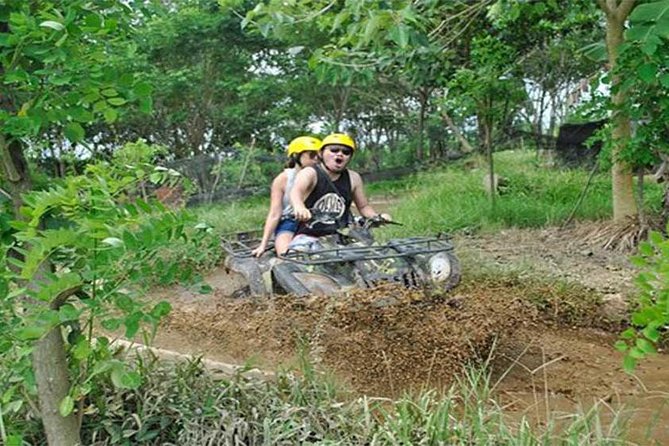 Ubud ATV Quad Bike, Monkey Forest and Rice Terrace - Who will enjoy this combination most