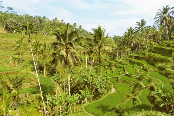 Ubud Combine Mount Batur Kintamani Tour - Tegenungan Waterfall brings a change of scenery