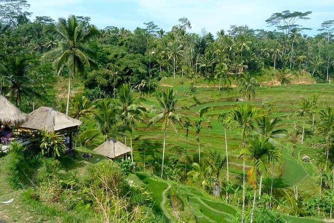 Ubud Combine Mount Batur Kintamani Tour - Mount Batur gives you volcano views without the alarm clock