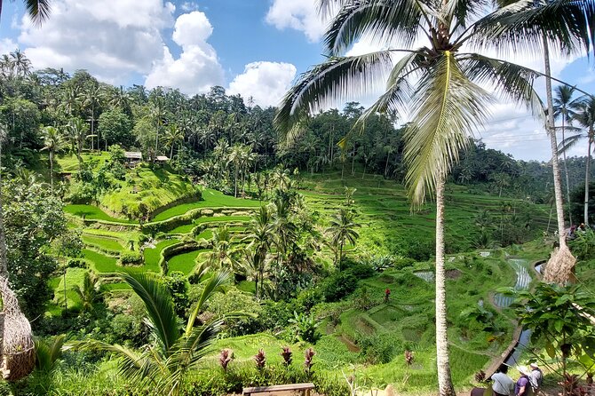 Ubud Customized Private Tour - Tegalalang shows Bali’s working rice culture