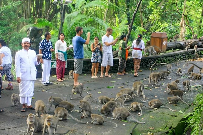 Ubud Day Tour: Sacred Monkey Forest, Tegenungan Waterfall, Rice Terrace - Elephant Cave and its striking entrance