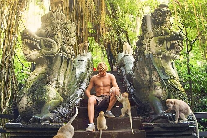 Ubud Day Tour: Sacred Monkey Forest, Tegenungan Waterfall, Rice Terrace - What the driver-guide adds to the day