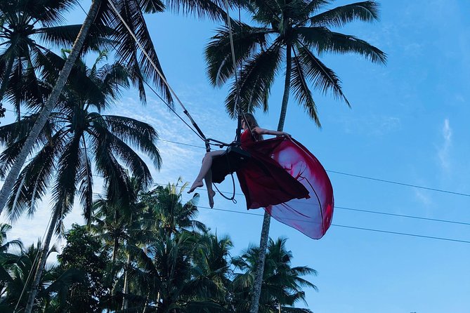 Ubud Experience ; Swing, Waterfalls, Art Market, Rice Terrace - Ubud Palace: a compact look at royal Bali